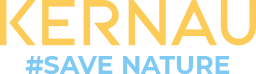 Logo_ver_3.png